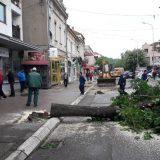 Jedan od pet miliona: Vlast u Aleksincu nastavlja politiku ekocida 9