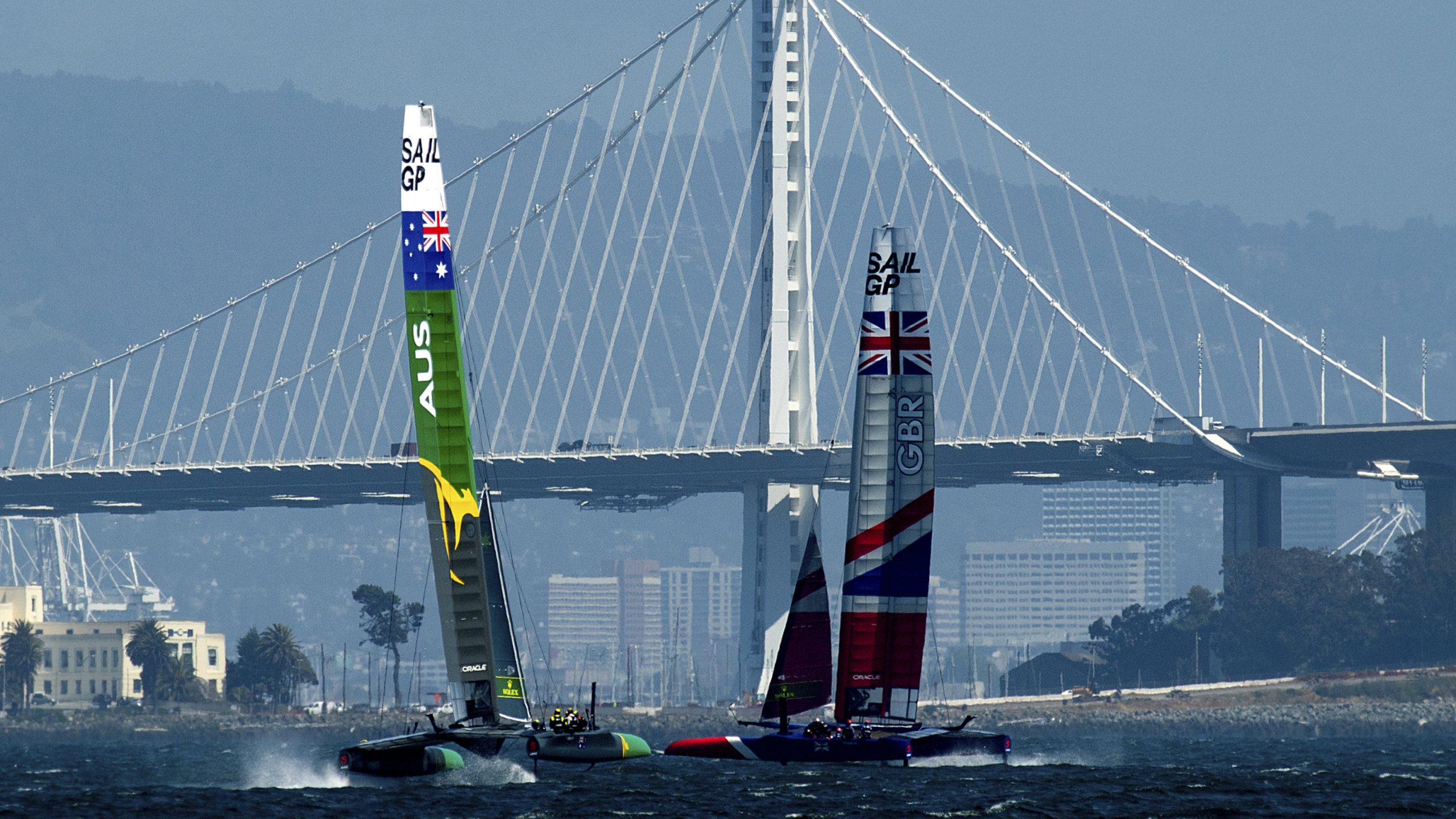 Naučnici pronašli protivotrov za smrtonosnu meduzu 1