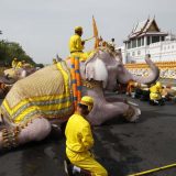 Slonovi klečali u čast novokrunisanog kralja Tajlanda 11