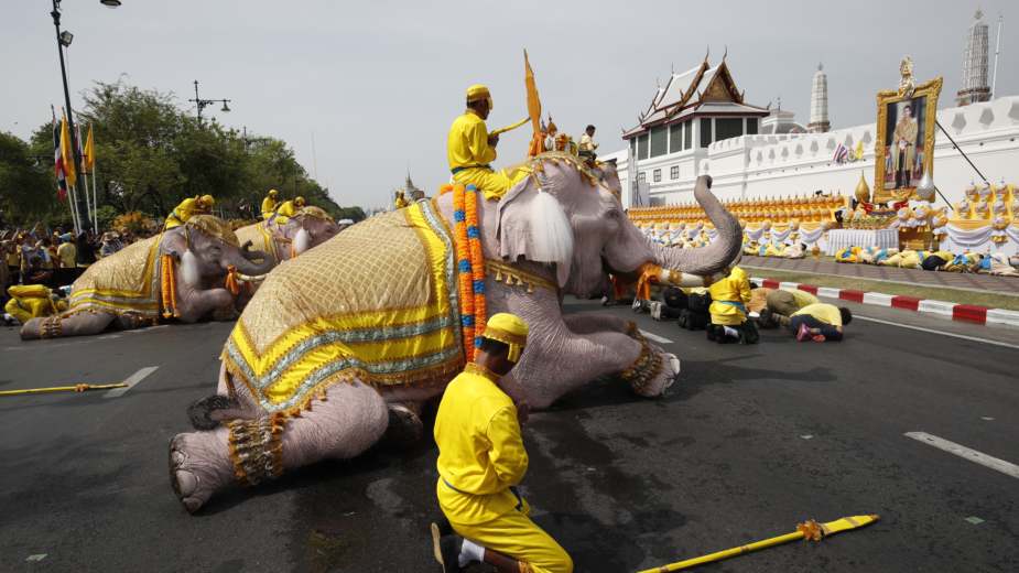 Slonovi klečali u čast novokrunisanog kralja Tajlanda 1