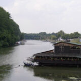 Kod reke Tamiš pronađena 64 leša zaštićenih vrsta ptica 1