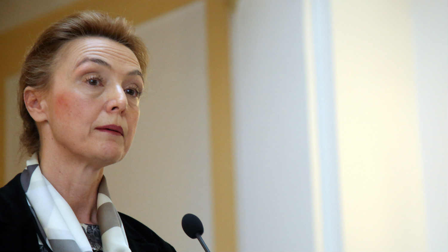 Marija Pejčinović Burić: Ekspertkinja za evropska pitanja 1