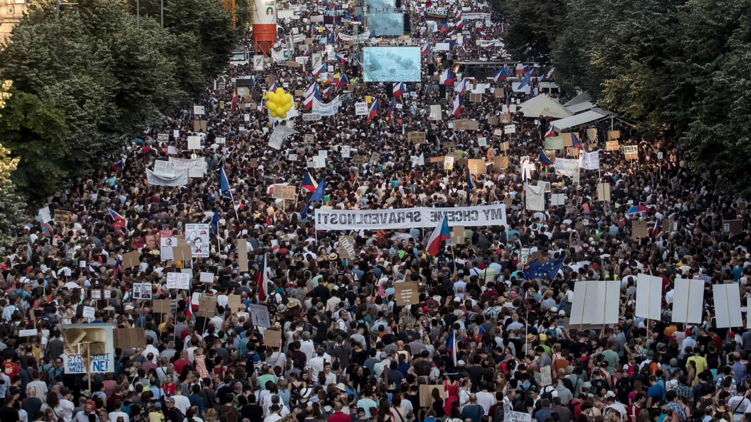 Havelka: Babišovi skandali bez uticaja na istraživanja javnog mnjenja 1