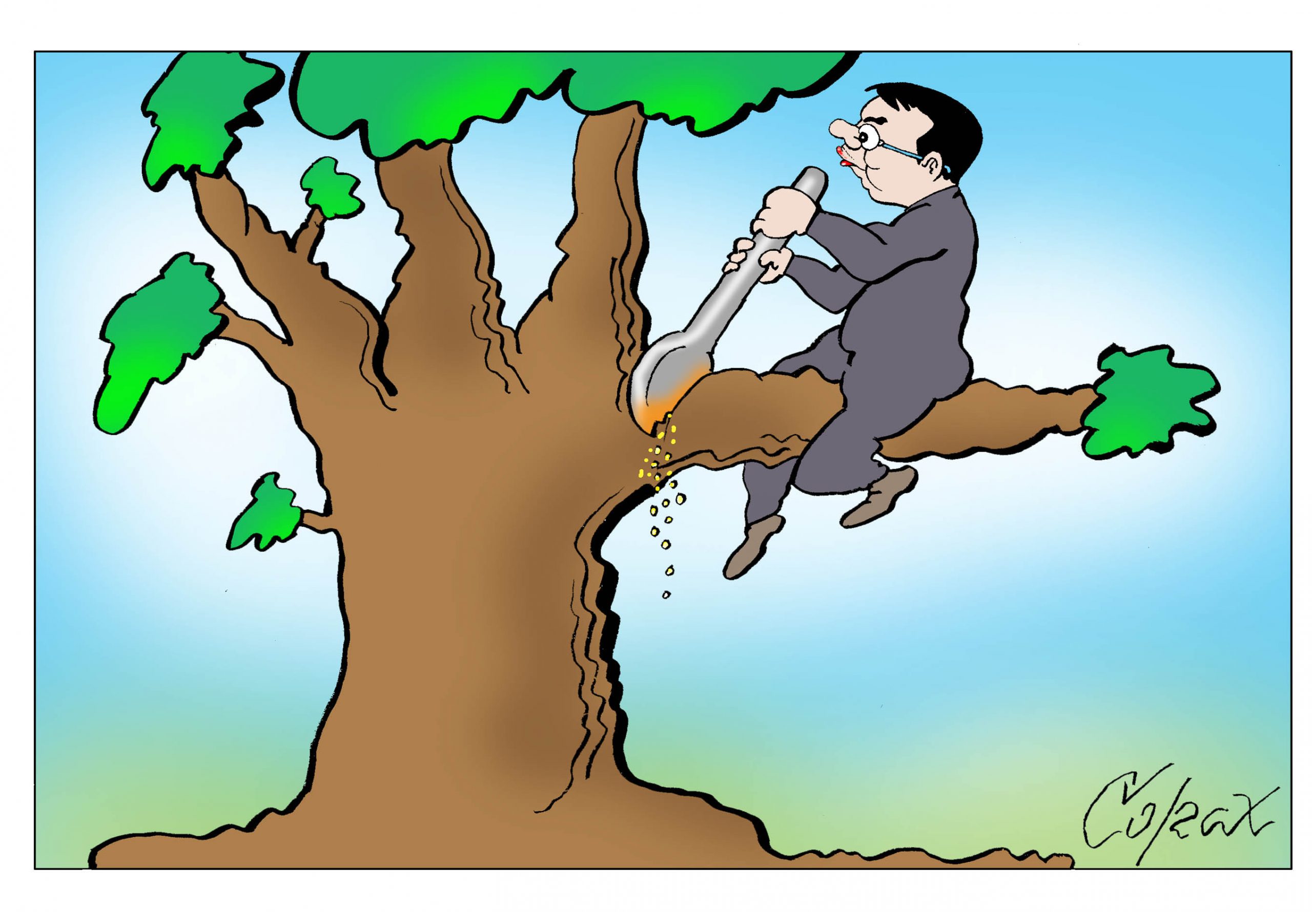 Corax 8