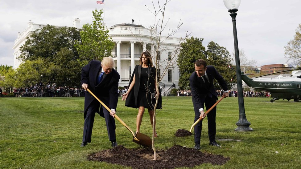 Predsednik Tramp i predsednik Makron sade drvo prijateljstva