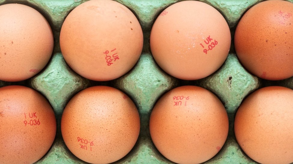 Nemačka: Sud odlučio da je masovno ubijanje pilića zakonito 2 Stock image of eight eggs in a carton