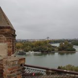 Na Kalemegdanu nije nađen otrov za pse 6