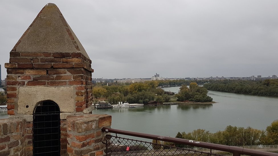 Na Kalemegdanu nije nađen otrov za pse 1 Na Kalemegdanu nije nađen otrov za pse 1