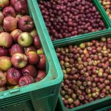 Šta Srbiji donosi sporazum o slobodnoj trgovini sa UAE? 5