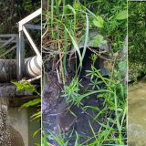 Sprečiti zagađivanje Đetinje 2