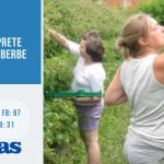 Dačić i Čitaku na sednici SB glavna tema prethodne nedelje (VIDEO) 6