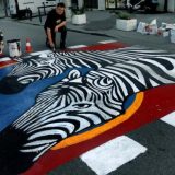 Upoznajmo zebru u Zemunu 7