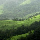 Indija (10) : Kad stvari oživljavaju 12