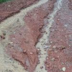 Knić: Grad veličine teniske loptice uništio voćnjake 4