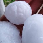 Knić: Grad veličine teniske loptice uništio voćnjake 6