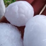 Knić: Grad veličine teniske loptice uništio voćnjake 12