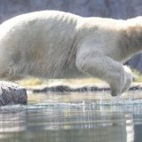 Talas toplote u Evropi naveo Nemačku da ograniči brzinu na autoputevima 4
