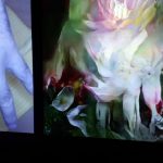 Poseta muzeju budućnosti Ars Elektronika u Lincu (FOTO, VIDEO) 14