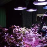 Poseta muzeju budućnosti Ars Elektronika u Lincu (FOTO, VIDEO) 21