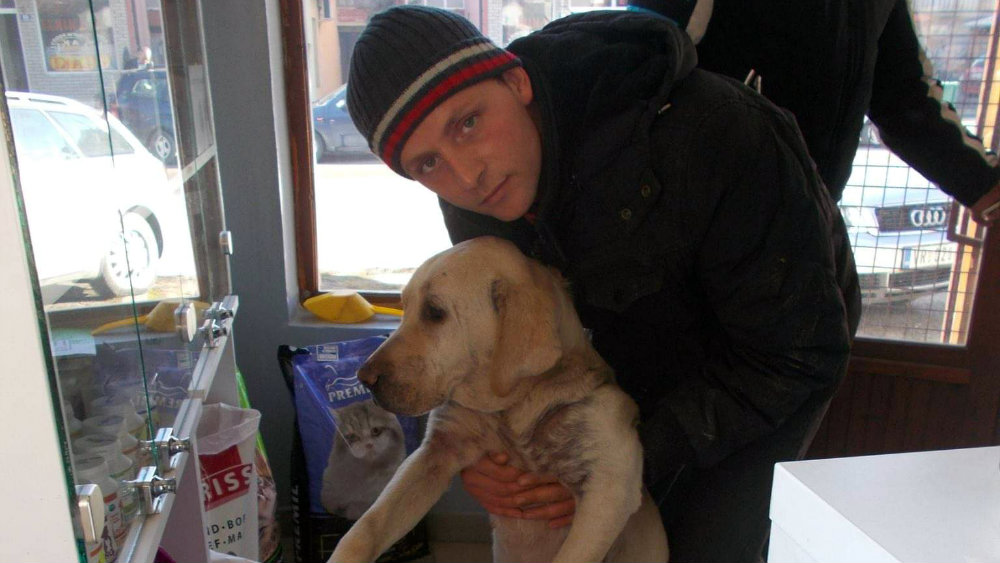 Mladi Vranjanac ne odustaje od misije pomoći napuštenim životinjama 1