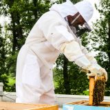 Crna Gora: Mladim pčelarima po pet košnica 5