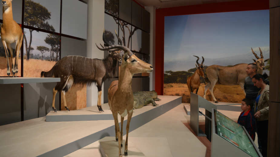 Najsavremeniji naučno-turistički centar regiona 1