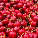 Zbog niske otkupne cene ostaju neobrani višnjici u merošinskom kraju 4