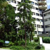 Devetnaest pacijenata iz Nove Varoši na lečenju zbog simptoma trovanja hranom 14