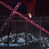 U padu aviona na Havajima poginulo svih 11 putnika 14