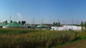 Ministarstvo: Počinje druga faza razvoja biomase u Srbiji u vrednosti 31,9 miliona evra
