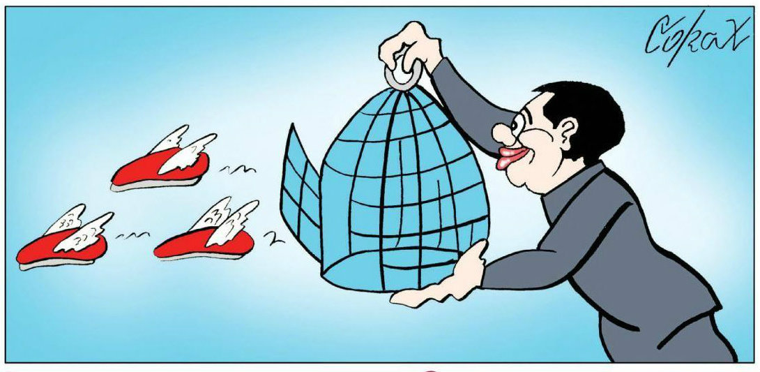 Corax 8