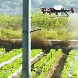Kineski farmeri koriste dronove u poljoprivredi 6