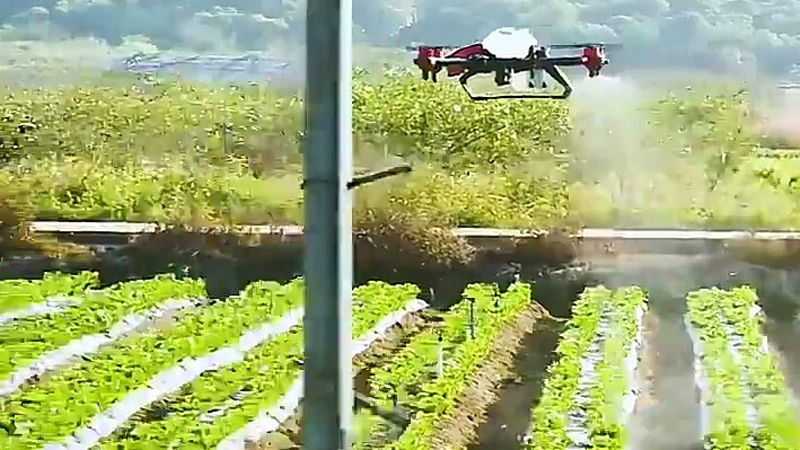 Kineski farmeri koriste dronove u poljoprivredi 1