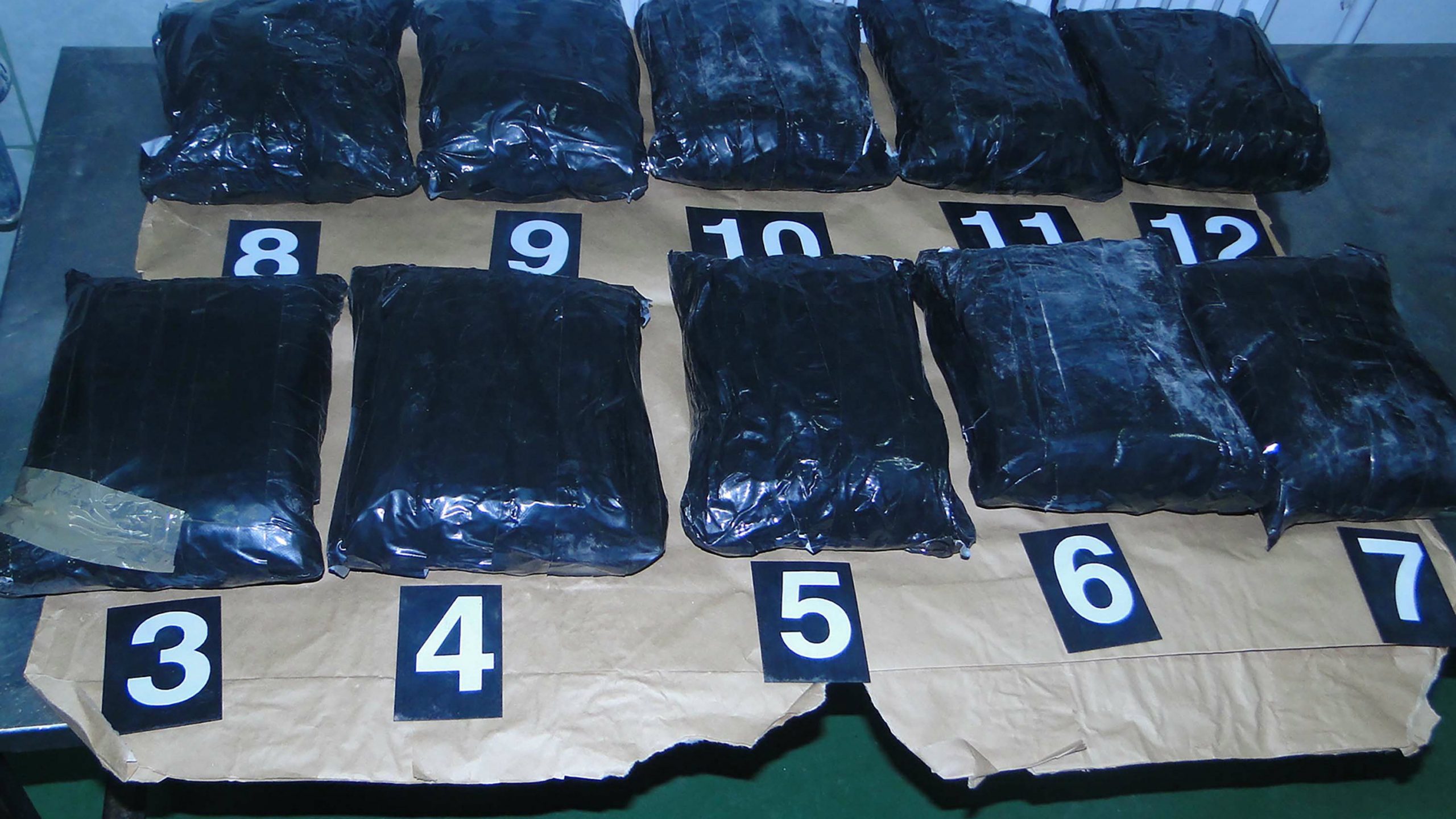 Na Gradini zaplenjeno 25 kilograma ekstazija 1