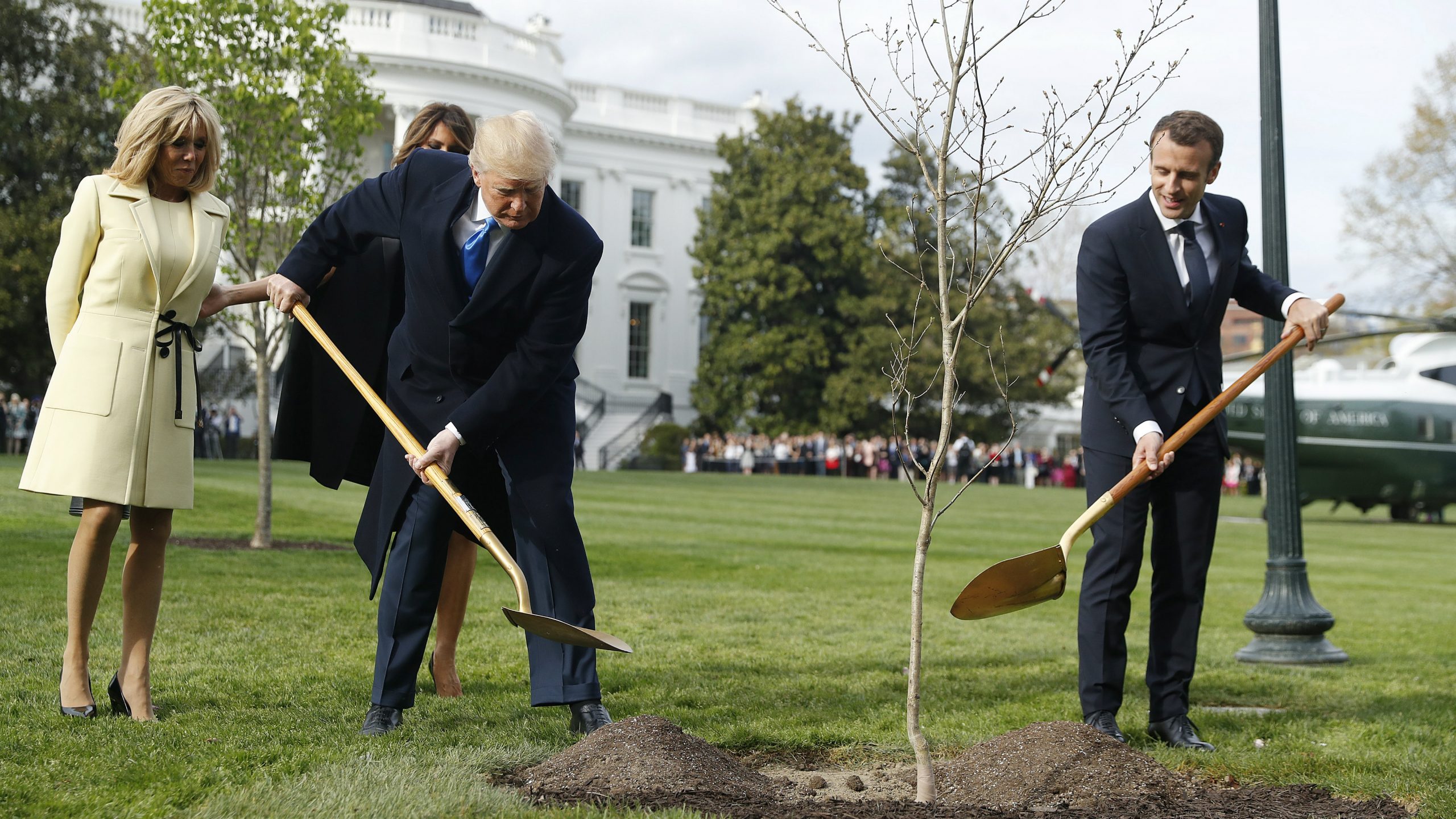 Osušilo se drvo prijateljstva Trampa i Makrona staro tek godinu dana 1