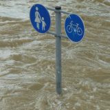 "Ostaje nada da će neko, jednom odgovarati": Obrenovac 11 godina nakon najvećih poplava u Srbiji 4