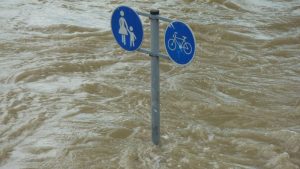 Priručnik za poplave: Kako sačuvati zdravlje i šta raditi kad se voda povuče 2