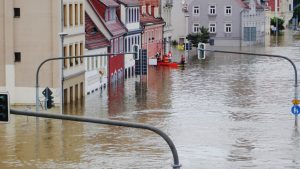 Priručnik za poplave: Kako sačuvati zdravlje i šta raditi kad se voda povuče 3