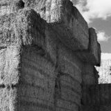 Izložba "Kultivacija i komodifikacija" od 2. jula 1