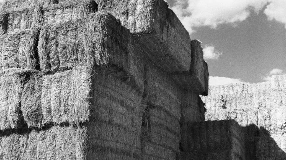 Izložba "Kultivacija i komodifikacija" od 2. jula 1