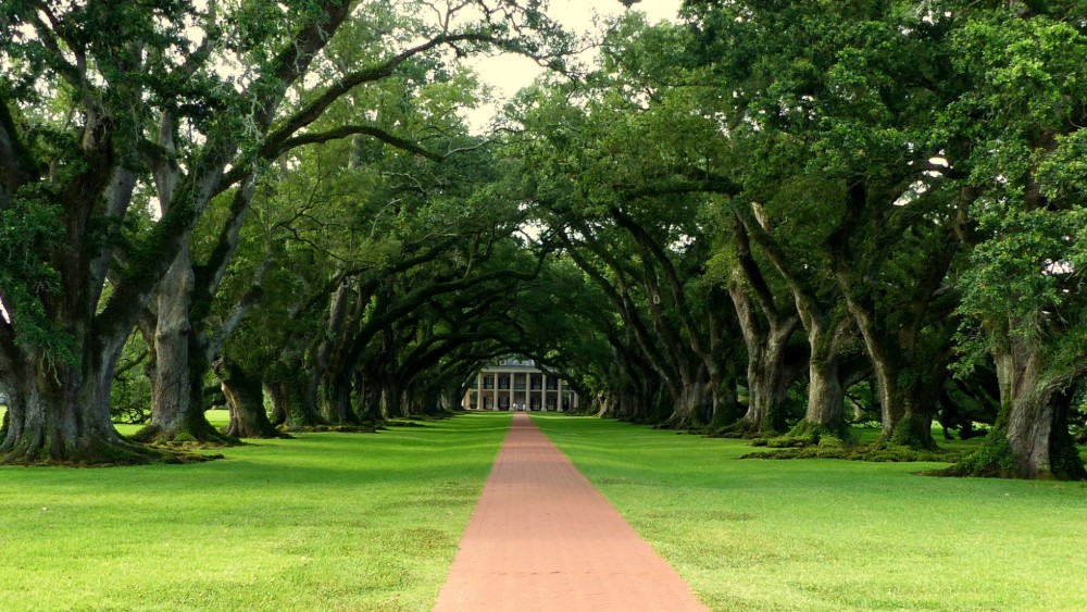 Al Jazeera: Treba li SAD da isplati odštetu potomcima robova? 1