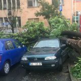 Olujno nevreme pogodilo Beograd (VIDEO) 11