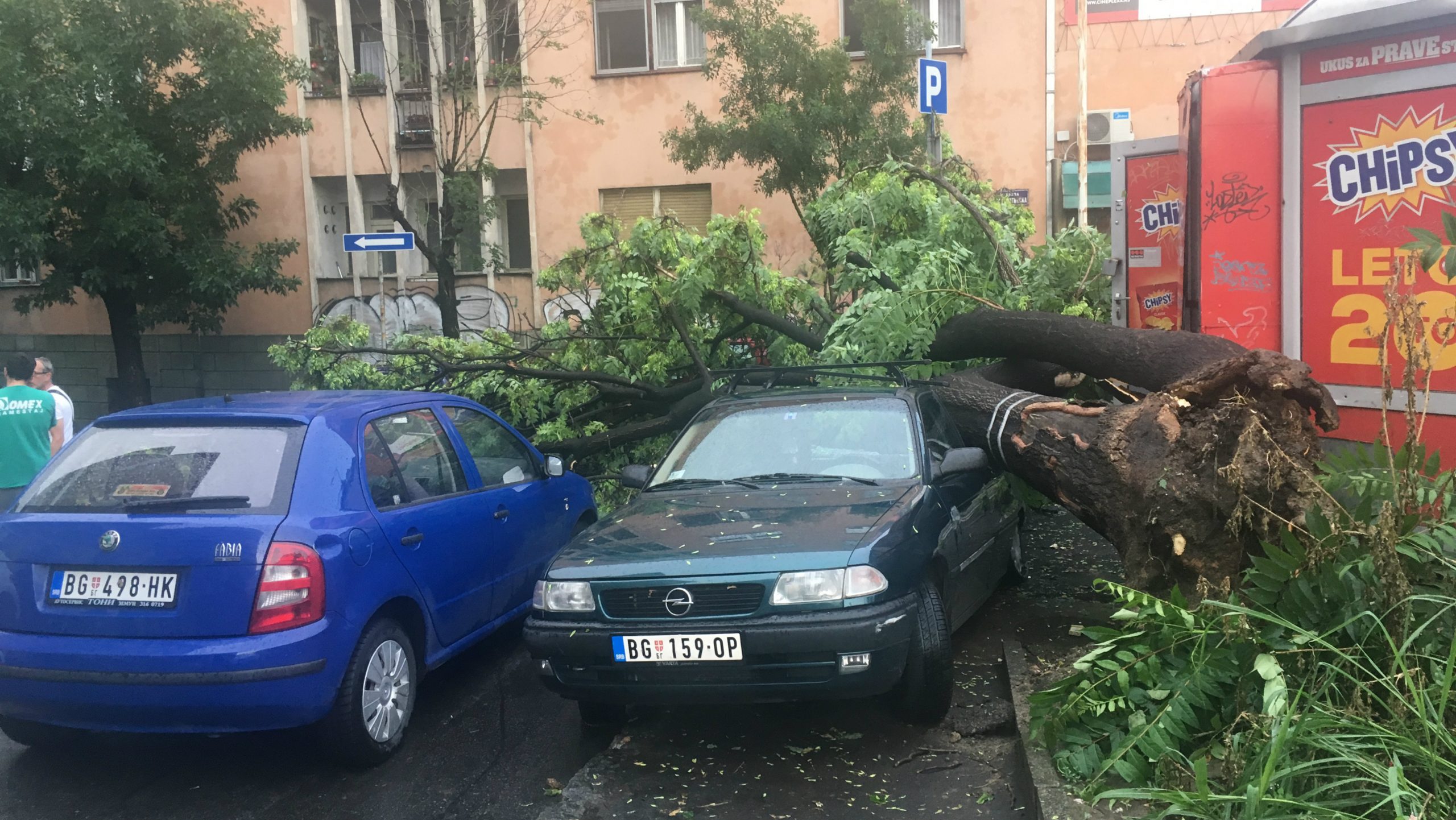Olujno nevreme pogodilo Beograd (VIDEO) 1