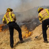 U velikom požaru na severoistoku Španije izgorelo 5.500 hektara šume 3
