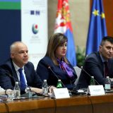 Radojičić: Dekada nije dovoljna da se problemi Roma reše 5