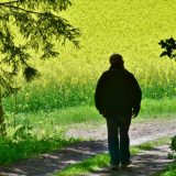 Poslovi na kojima u Srbiji najčešće angažuju penzionere 3