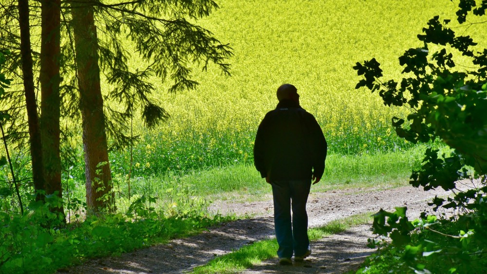 Poslovi na kojima u Srbiji najčešće angažuju penzionere 1
