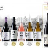 Specijalna nagrada „Best of Show“ za Tikveš vino 6