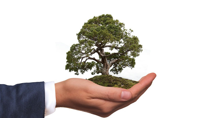 Organizacije i neformalne grupe pokrenule projekat "Zeleni inkubator" za zaštitu životne sredine 1