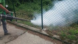 Počela dezinfekcija, suzbijanje komaraca i podela larvicidnih tableta na Paliluli 2